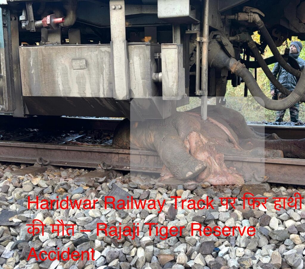 Haridwar Railway Track पर फिर हाथी की मौत – Rajaji Tiger Reserve Accident